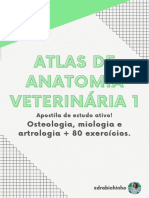 Atlas de Anatomia Veterinaria 1