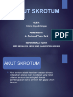 Akut Skrotum