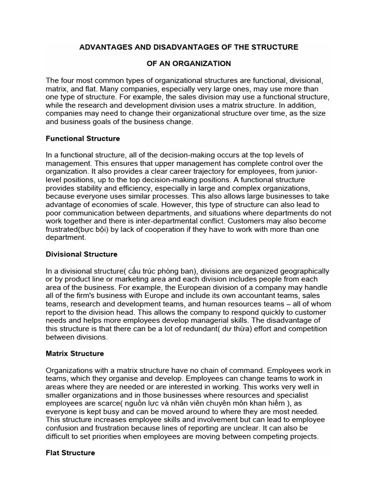 Organizational Structure Pros and Cons | PDF | Organizational Structure ...
