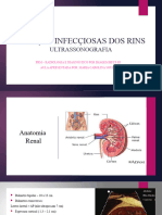 Doenças Infecçiosas Dos Rins