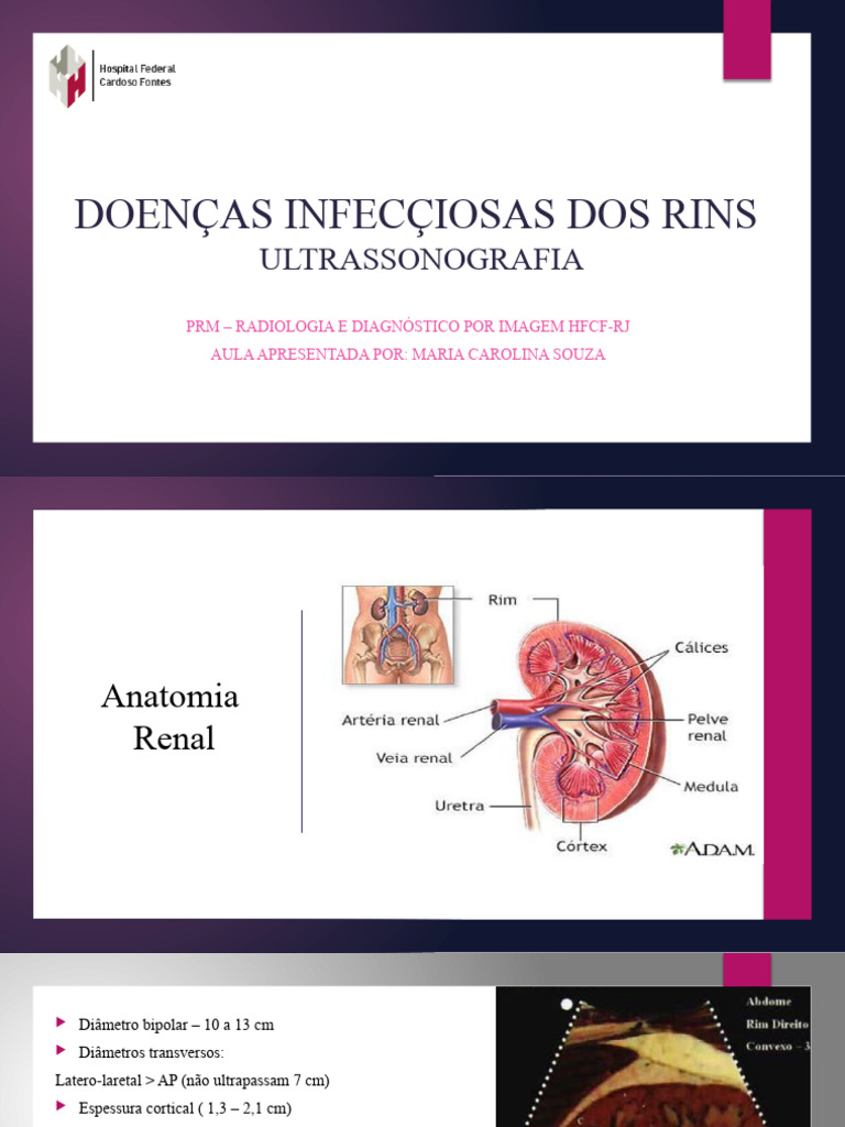 Doenças Infecciosas Renais e Ultrassonografia | PDF | Rim | Infecção