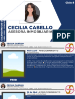 Calendario de Contenidos de Posicionamiento Abril 2024 Cecilia Cabello