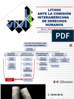 Corte Interamericana de Derechos Humanos. Miguel Angel Soria