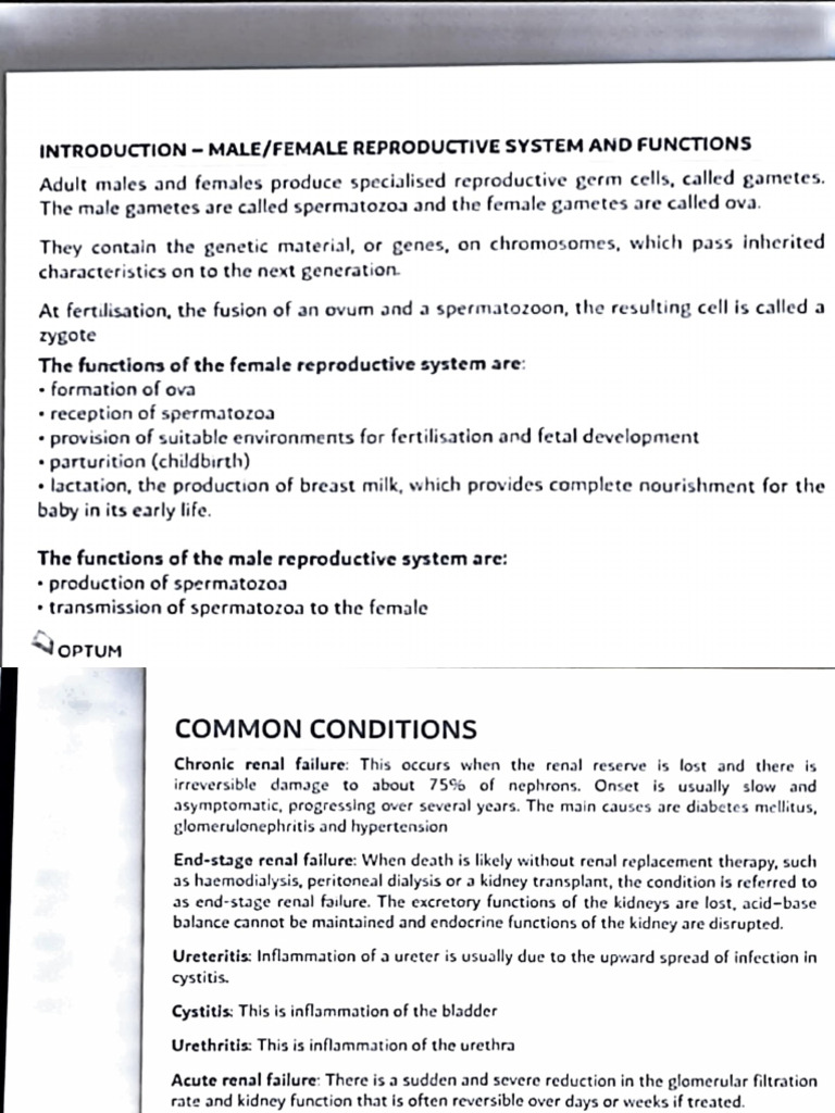Reproductive System Functions & Conditions | PDF