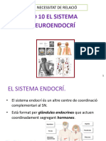 Tema 10 - El Sistema Endocrí