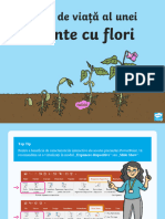 Ds 105 Ciclul de Via Al Unei Plante Cu Flori Prezentare Powerpoint - Ver - 1