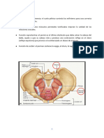 Suelo Pelvico Anatomia - 3-4