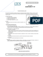 Anat. (07) Tejido Muscular 73 - 78