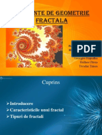 Elemente de Geometrie Fractala1.