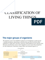 Presentation Classification of Living Things