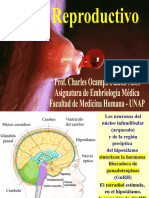 Ciclo Reproductivo