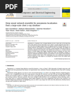 Deep Neural Network Ensemble For Pneumonia Localization