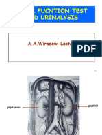 Lecture 19. Renal Function Test and Urinalysis