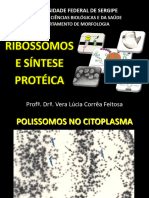 Ribossomos e Síntese Proteíca