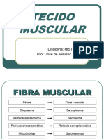 TECIDO MUSCULAR - Power Point