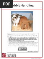 Rabbit Showmanship Study Guide | PDF | Rabbit | Mammals