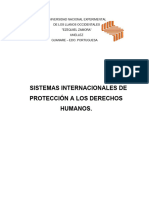 Importancia de Los Sistemas Internacionales de Proteccion A Los Derechos Humanos