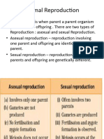 Animal Reproduction