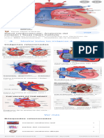 Anatomía Del Corazón - Buscar Con Google