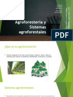 Agroforestería