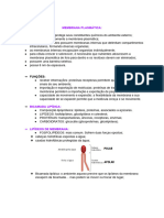 Membrana Plasmática - Biocel