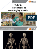 TALLER 2 Generalidades de anatomía 2