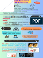 Infografía - Guía de Pasos para Mejorar La Creatividad A Mano Verde y Naranja Pastel