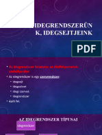 Idegrendszerünk, Idegsejtjeink