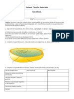 Guía 2 Ciencias Naturales 2 N M