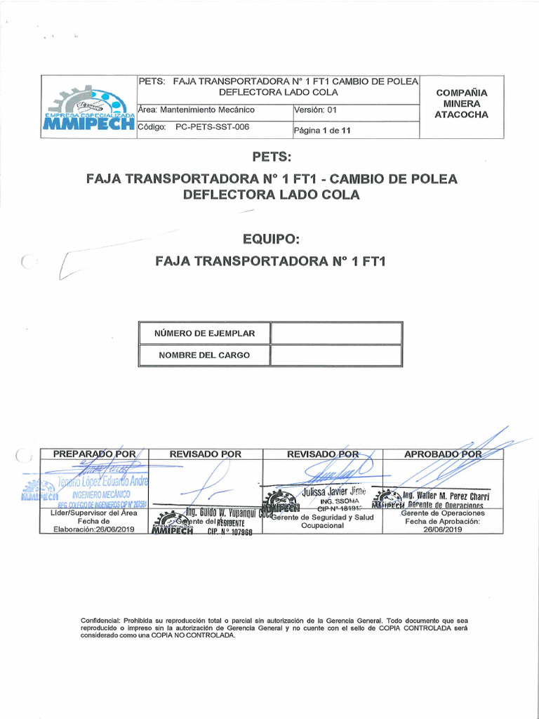 PETS (1) | PDF