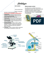 Histologia -  aulas