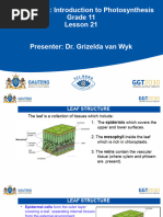 Life Sciences Gr.11 Lesson 21 Photosynthesis Introduction
