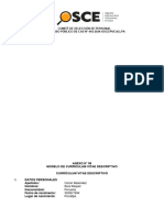 Anexo N 06 Modelo de Curriculum Vitae Descriptivo Del Concurso de Cas N 042 2024 Pucallpa