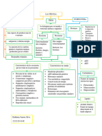 Bio Celular Mapa Celula