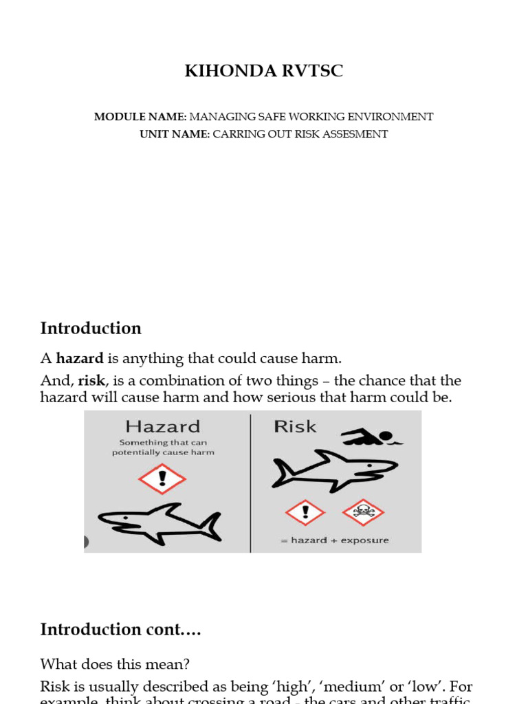 RA Level Three | PDF | Risk | Risk Assessment