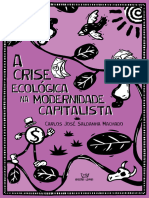 A Crise Ecológica Na Modernidade Capitalista - 2024