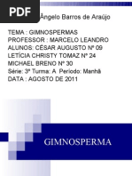 APRESENTAÇÃO SLIDE-GIMNOSPERMA
