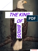 The King of Birds