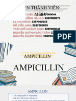 Bu I 3 N2 22DDUA2 Ampicillin