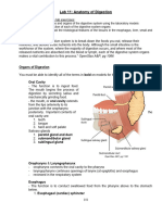 AP2 Lab11 Anatomy of Digestion SP21