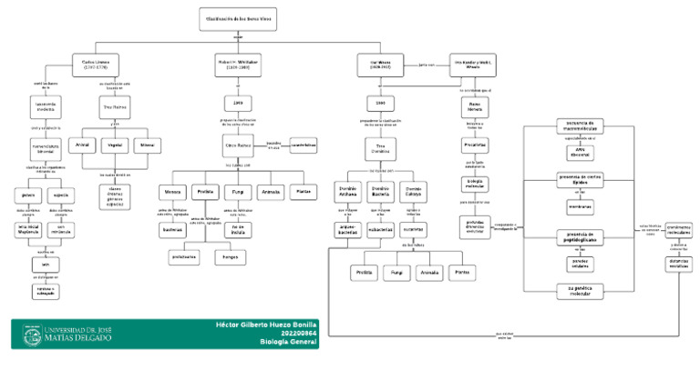 Clasificación de Los Seres Vivos - Mapa Conceptual | PDF ...