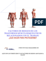 Instructivo Factores de Riesgos de Los Trastornos Musculoesqueleticos