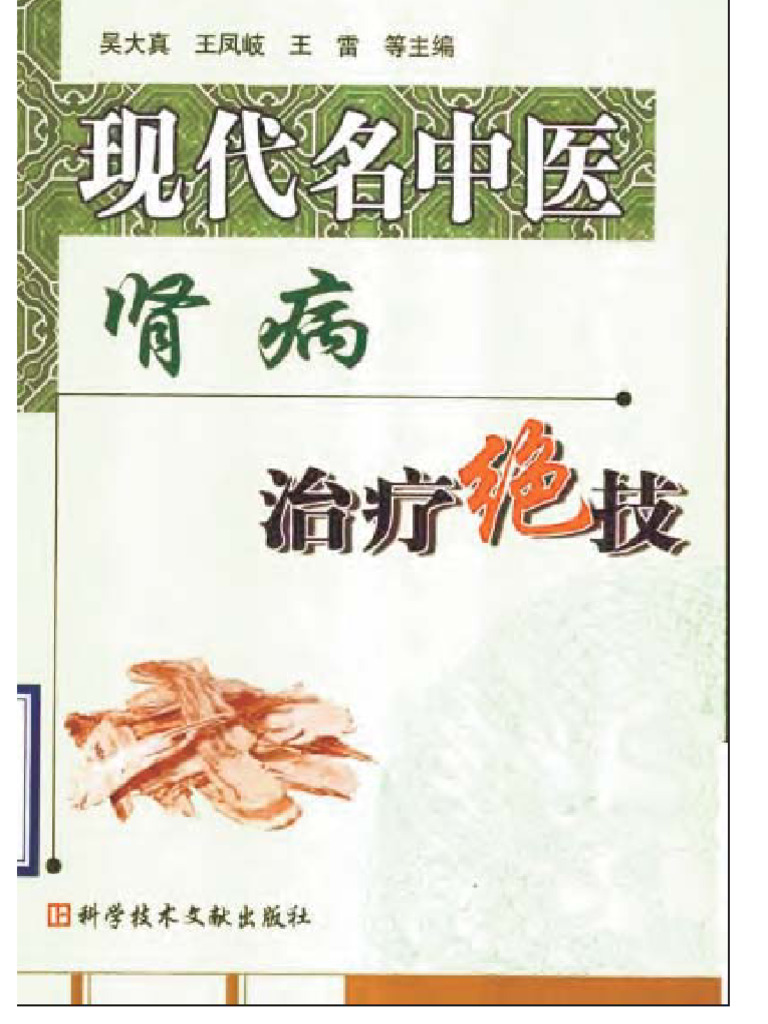 现代名中医肾病治疗绝技 | PDF