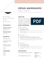 Erfan Amirnaderi English Resume