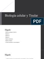 Biología Celular y Tisular Patologias 2.1