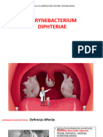 Corynebacterium Diphteriae