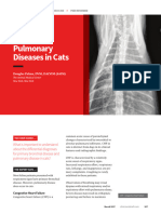 Ask - Common Pulmonary Diseases in Cats 36201 Article