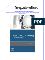 Download ebook Atlas Of Wound Healing A Tissue Regeneration Approach Pdf full chapter pdf