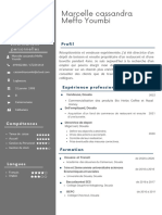 Cassandre Mefo Professional CV Resume