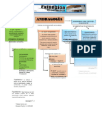 PDF Mapa Conceptual Andragogia Compress